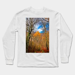 Last survivor on the road to winter Long Sleeve T-Shirt